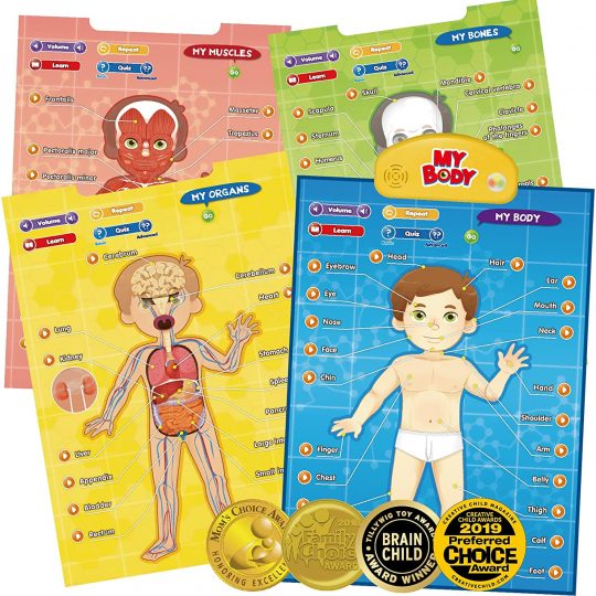 BEST LEARNING i-Poster My Body - Interactive Educational Human Anatomy Talking Game Toy System to Learn Body Parts, Organs, Muscles and Bones for Kids